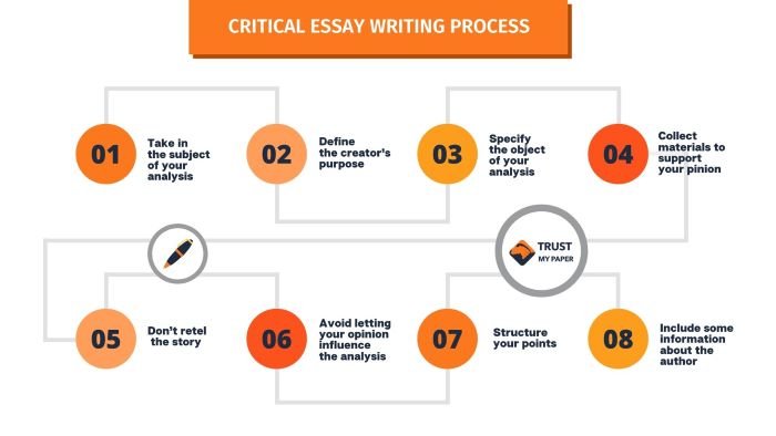 Critical analysis essay infographic