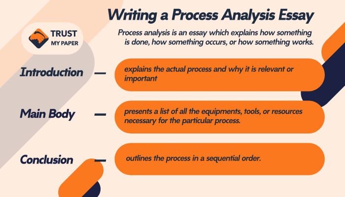 Process analysis essay writing infographic