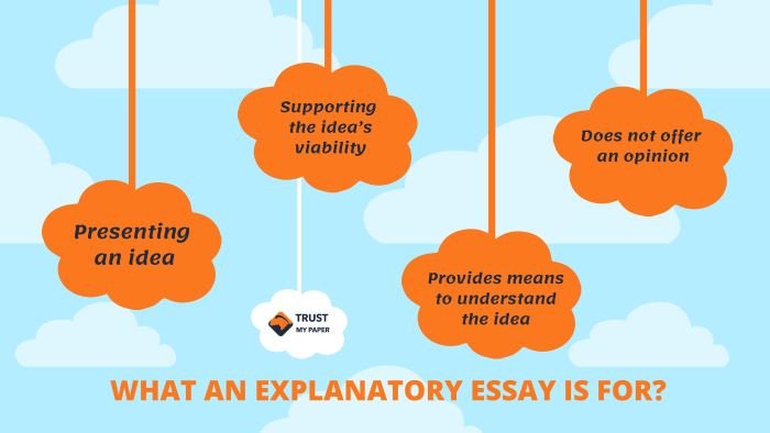 Explanatory essay writing infographic