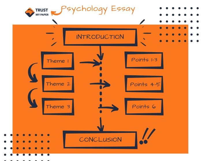 Psychology essay structure infographic