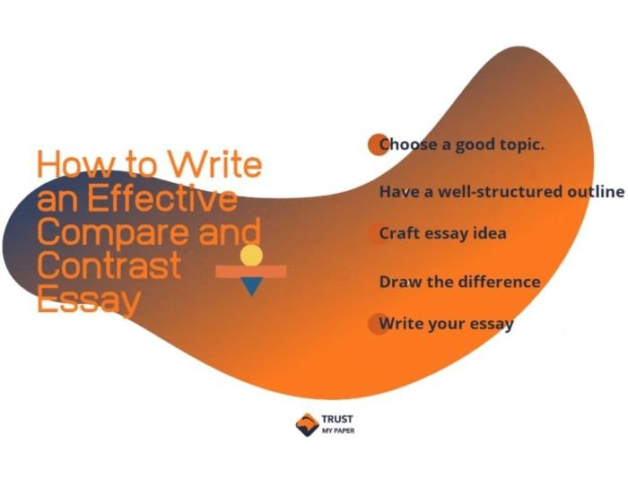 Effective Compare and Contrast Essay Checklist